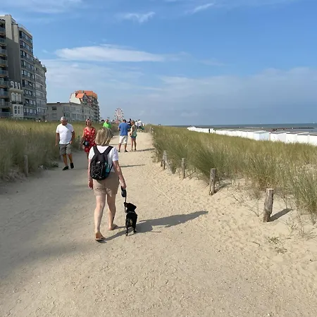 Cosy Duplex In Westende Met 3 Slpk * Middelkerke